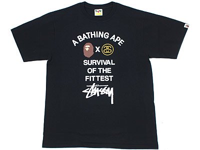 A BATHING APE×STUSSY 'SURVIVAL OF THE FITTED'Tシャツ BAPE エイプ 