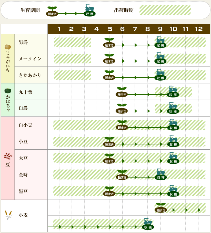 生産品種カレンダー 北海道 十勝とやま農場