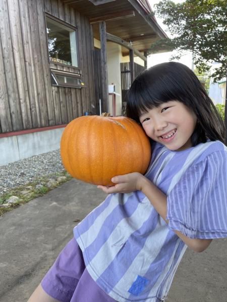 ハロウィンカボチャ（小サイズ）2個セット※直径20cm前後