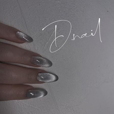 D D.nail ファッション マグネットパウダー 1g シルバー