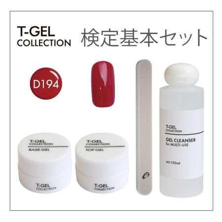 T-GEL COLLECTION ティージェルコレクション ジェル検定基本セット | アミューズメントネイルスタジオ