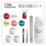 T-GEL COLLECTION ティージェルコレクション ジェル検定初級セット
