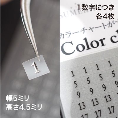 ネイルシール TSUMEKIRA ツメキラ NN-CCN-305 カラーチャートナンバーシール 白黒 401-500 | アミューズメントネイルスタジオ