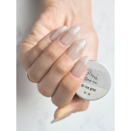 Dna Gel ディーナジェル Dna Gel×Renee カラージェル 2.5g St-ice gray