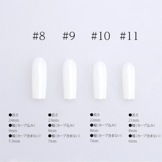 シャレドワ ネイルチップ＆ニッパー セット 【ネイル検定商品】 SHAREYDVA アクリルニッパー (94995)の卸・通販 | ビューティ