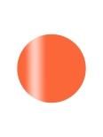 Calgel 른 ̸ 顼 ץ饹 2.5g Limited Neon Collection CG01NE ͥ 