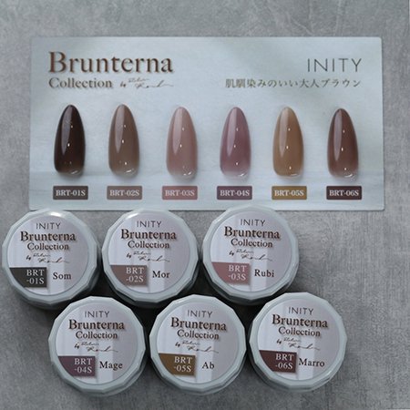 INITY アイニティ ハイエンドカラー Brunterna collection 3g BRT-03S