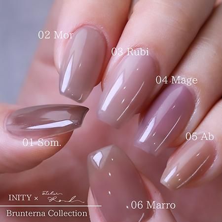 INITY アイニティ ハイエンドカラー Brunterna collection 3g×6色 INS 