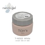 TOY's×INITY nendo gel ネンドジェル 25g T-ND02-25 ホワイト