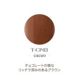 TOY's×INITY アクリルパウダー アンメデューコレクション 7g T-CP03 cacao カカオ