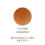 TOY's×INITY アクリルパウダー アンメデューコレクション 7g T-CP04 cinnamon シナモン