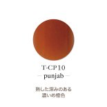 TOY's×INITY アクリルパウダー アンメデューコレクション 7g T-CP10 punjab パンジャブ
