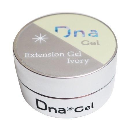 Dna Gel ディーナジェル エクステンションジェル 8.5g アイボリー | 自然な質感と色味、フリーエッジ作りに最適 - ネイル用品通販店  アミューズメントネイルスタジオ