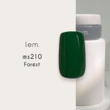 lem  顼 3g m023 Forest ե쥹