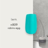 lem  顼 3g n809 robins egg ӥ󥹥å