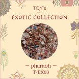 TOY'sINITY exotic collection å쥯 2g T-EX03 ե饪