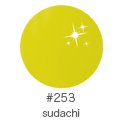 LEAFGEL ꡼ե 顼 4g ishm꡼ 253 sudachi 