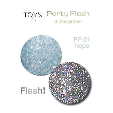 TOY's×INITY パーティーフラッシュ | インザガーデン - ネイル