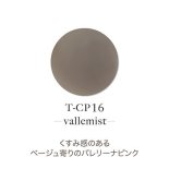 TOY'sINITY ѥ եॳ쥯 7g T-CP16 vallemist Хߥ
