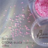 BonNail ܥͥ OTONA etoile ȥ  1mm 1g premier amour