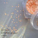 BonNail ܥͥ OTONA amour ࡼ ϡ  1mm 1g soleil
