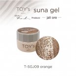 TOY'sINITY suna gel ʥ 5g T-SGJ09 