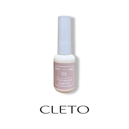 本日限定価格！cleto マグネットジェルセット （ウィークリー