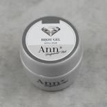Ann Professional ӥ塼 10g