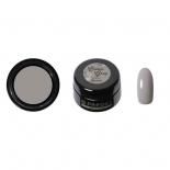 <img class='new_mark_img1' src='https://img.shop-pro.jp/img/new/icons15.gif' style='border:none;display:inline;margin:0px;padding:0px;width:auto;' />PREGEL プリジェル カラージェル カラーEX 3g オータムシックシリーズ PG-CE1006 コブルグレー