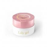 <img class='new_mark_img1' src='https://img.shop-pro.jp/img/new/icons15.gif' style='border:none;display:inline;margin:0px;padding:0px;width:auto;' />Lily gel ꡼ ȥåץ ԥ奢 8g