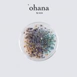 <img class='new_mark_img1' src='https://img.shop-pro.jp/img/new/icons15.gif' style='border:none;display:inline;margin:0px;padding:0px;width:auto;' />ohana ̸ everlasting Petite fleur ɥ饤ե 0.2g 01