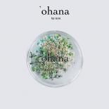 <img class='new_mark_img1' src='https://img.shop-pro.jp/img/new/icons15.gif' style='border:none;display:inline;margin:0px;padding:0px;width:auto;' />ohana ̸ everlasting Petite fleur ɥ饤ե 0.2g 02