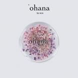 <img class='new_mark_img1' src='https://img.shop-pro.jp/img/new/icons15.gif' style='border:none;display:inline;margin:0px;padding:0px;width:auto;' />ohana ̸ everlasting Petite fleur ɥ饤ե 0.2g 03