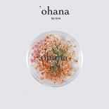 <img class='new_mark_img1' src='https://img.shop-pro.jp/img/new/icons15.gif' style='border:none;display:inline;margin:0px;padding:0px;width:auto;' />ohana ̸ everlasting Petite fleur ɥ饤ե 0.2g 06