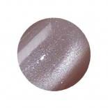 <img class='new_mark_img1' src='https://img.shop-pro.jp/img/new/icons15.gif' style='border:none;display:inline;margin:0px;padding:0px;width:auto;' />ICE GEL  GENTLEON ߥȥ饯 ߥ 3g 1741 ̡