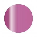 <img class='new_mark_img1' src='https://img.shop-pro.jp/img/new/icons15.gif' style='border:none;display:inline;margin:0px;padding:0px;width:auto;' />ageha Gel ϥ 顼 ץƥ顼 2.7g 롼꡼ Ʃ쥯 5-19 ܥɡ