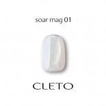 <img class='new_mark_img1' src='https://img.shop-pro.jp/img/new/icons15.gif' style='border:none;display:inline;margin:0px;padding:0px;width:auto;' />CLETO  ޥͥåȥ ޥ 7g 01