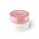 <img class='new_mark_img1' src='https://img.shop-pro.jp/img/new/icons15.gif' style='border:none;display:inline;margin:0px;padding:0px;width:auto;' />Lily gel ꡼ ӥ ԥ奢 8g