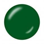 <img class='new_mark_img1' src='https://img.shop-pro.jp/img/new/icons15.gif' style='border:none;display:inline;margin:0px;padding:0px;width:auto;' />KOKOIST  顼 ܥȥ󥴡 10ml BC-40 Forest Green ե쥹ȥ꡼