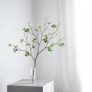 まるで生花 オススメ商品 - chouchou fleur（シュシュフルール ）