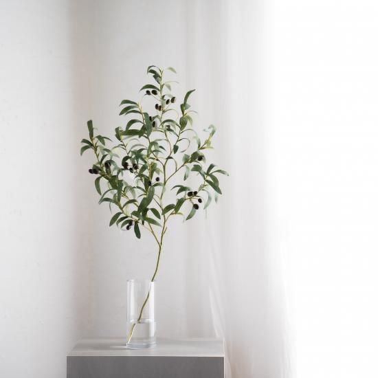 斑入りオリーブ切り枝　2本入 斑入りオリーブ切り枝（2本入） 【公式通販】