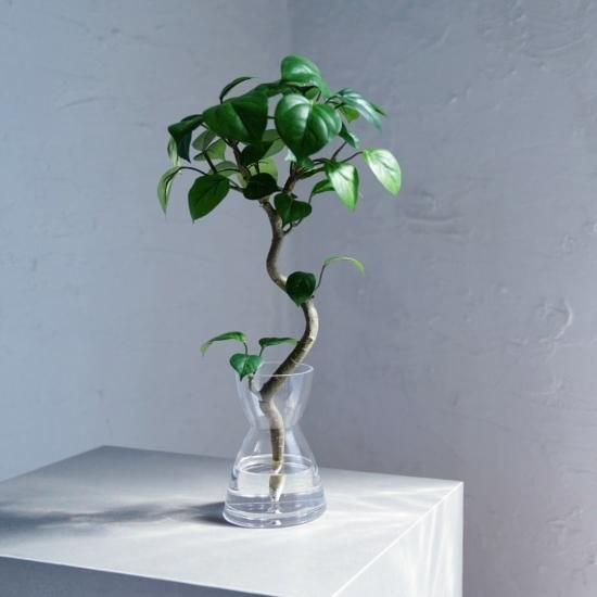 172524777.jpg?cmsp_timestamp=