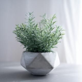 水換え不要）コデマリの小枝花瓶挿し - chouchou fleur（シュシュ