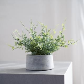 グラスグリーンのコンクリートポット【グリーンインテリア