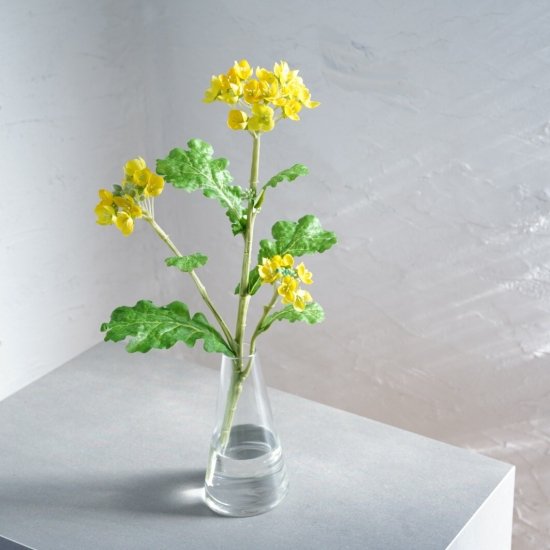 水換え不要）菜の花の花瓶水挿し - chouchou fleur（シュシュフルール ）