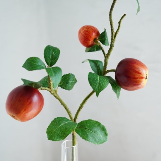 （水換え不要）りんごの花瓶水挿し - chouchou fleur（シュシュフルール ）