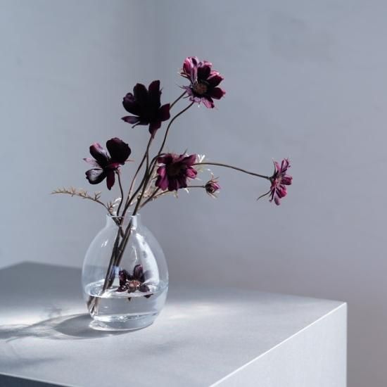 水換え不要）チョコレートコスモスの花瓶挿し - chouchou fleur