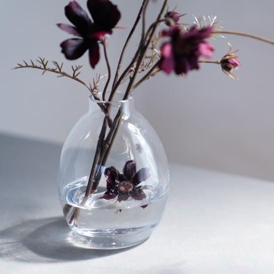 水換え不要）チョコレートコスモスの花瓶挿し - chouchou fleur