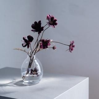 水換え不要）チョコレートコスモスの花瓶挿し - chouchou fleur