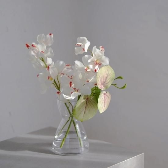 水換え不要）洋蘭の小瓶挿しアレンジ - chouchou fleur（シュシュ